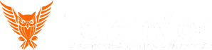 Teleinfor Sistema de Segurança e Telecom Logo